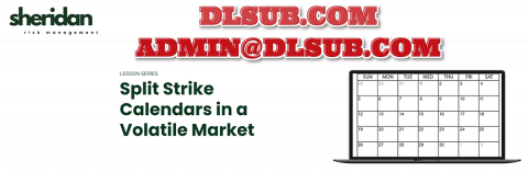 Dan Sheridan Split Strike Calendars in a Volatile Market