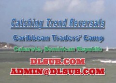 David Weis Catching Trend Reversals