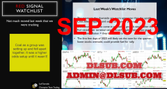 Champion Team Trading Leif Soreide Weekly Videos